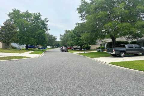 Stallion, ORANGE PARK, FL 32065