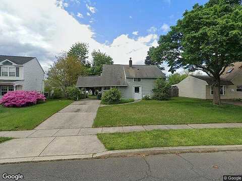 Narcissus, LEVITTOWN, PA 19054