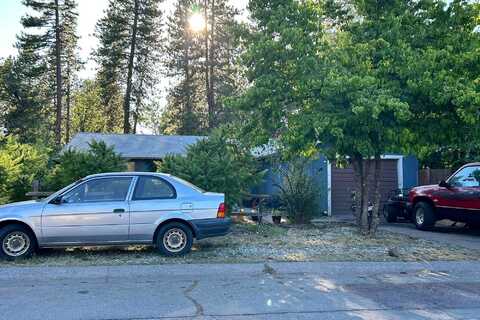 Sugar Pine, BURNEY, CA 96013