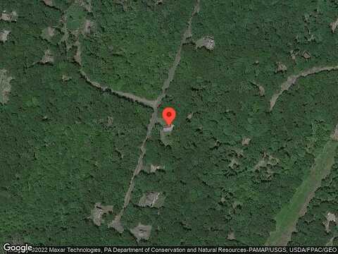 Cardinal, BUSHKILL, PA 18324