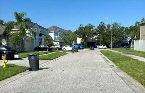 Addison Chase, RIVERVIEW, FL 33579