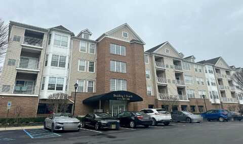 Cory, ELMWOOD PARK, NJ 07407