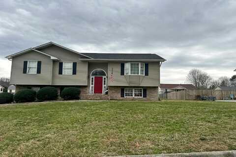Nicole, MOUNT CARMEL, TN 37645