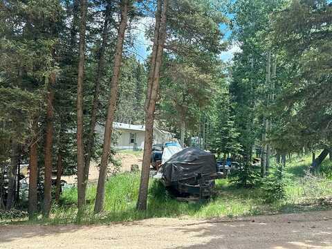 Tidi, FLORISSANT, CO 80816