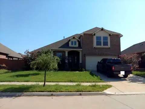 Cassinia, FORNEY, TX 75126