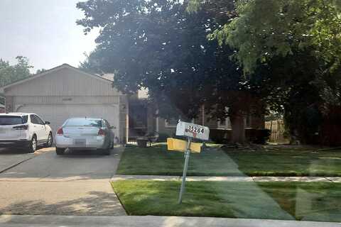 Vito, STERLING HEIGHTS, MI 48310