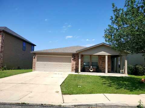 Dapple, SAN ANTONIO, TX 78244