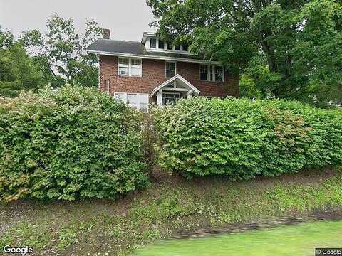 Charger, DUNCANSVILLE, PA 16635