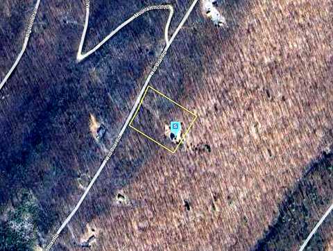 Wild Boar, AUGUSTA, WV 26704