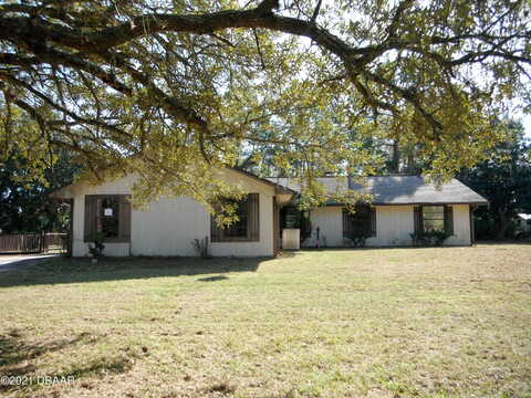 Pine Tree, ORMOND BEACH, FL 32174