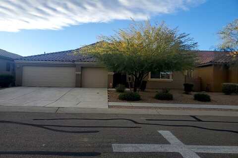 Fall Garden, TUCSON, AZ 85757