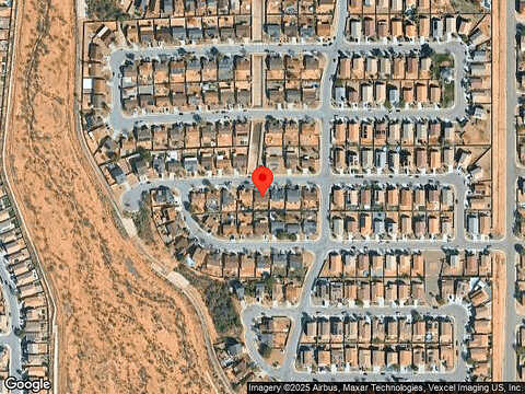 Screech Owl, TUCSON, AZ 85757