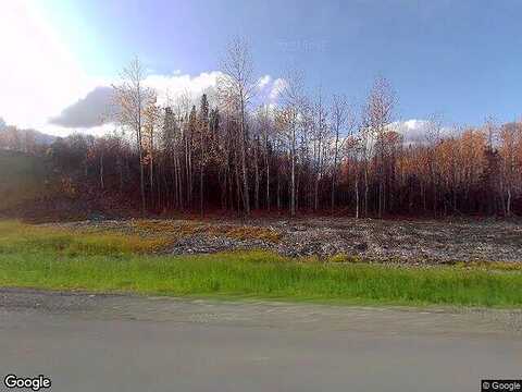 Parks Highway, Talkeetna, AK 99676