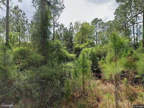 Roebuck Street, Georgetown, FL 32139