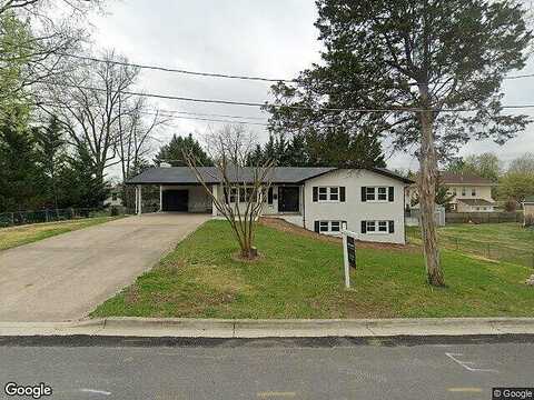 Red Pine, FALLS CHURCH, VA 22041