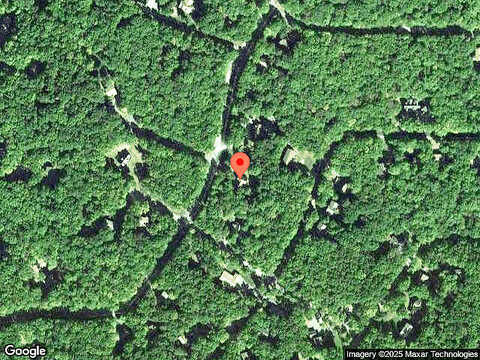 Paper Birch, TAFTON, PA 18464