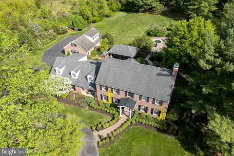 Apple Tree, BETHLEHEM, PA 18015
