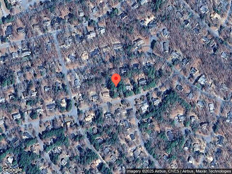Loblolly, PALMYRA, VA 22963
