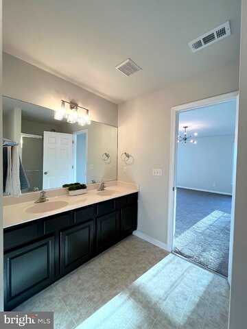 Sara, LOCUST GROVE, VA 22508