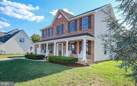 Clydesdale, STEPHENS CITY, VA 22655