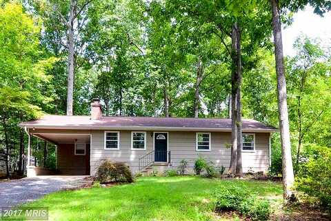 Birdie, LOCUST GROVE, VA 22508