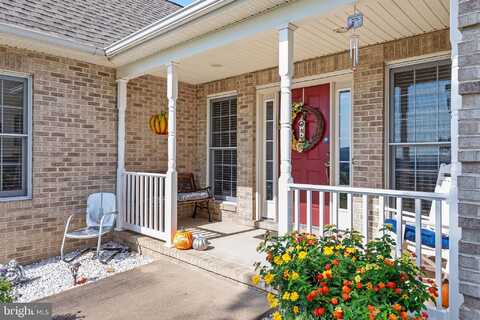 Liza Kates, WINCHESTER, VA 22603