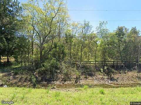 Gum Swamp, LAKE CITY, FL 32055