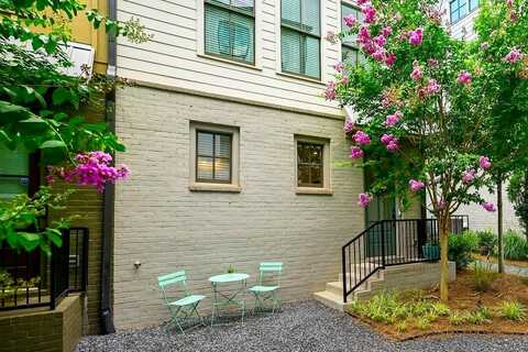 Needletail, ATLANTA, GA 30312