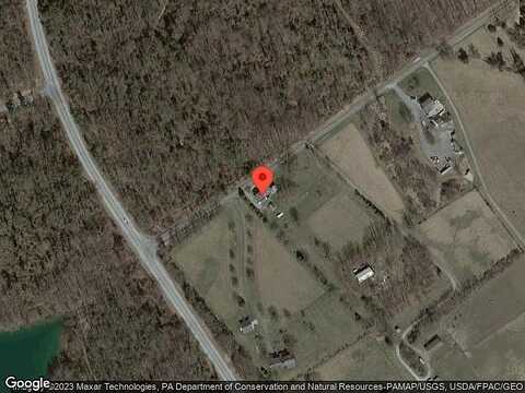 Pine Tree, SPRING GROVE, PA 17362