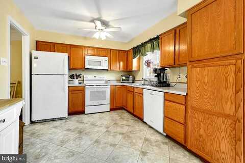 Stallion, WOODBRIDGE, VA 22192