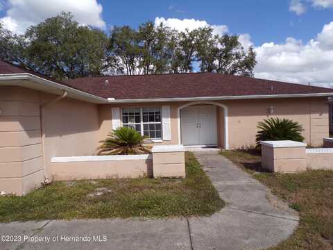 Rhanbuoy, SPRING HILL, FL 34606