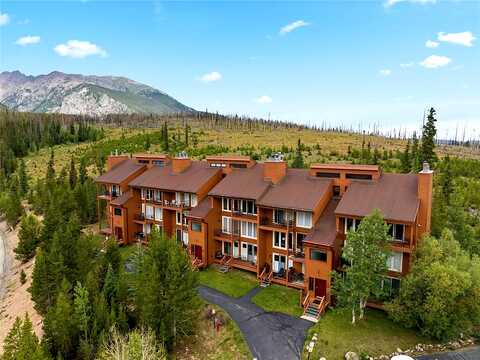 Ryan Gulch, SILVERTHORNE, CO 80498