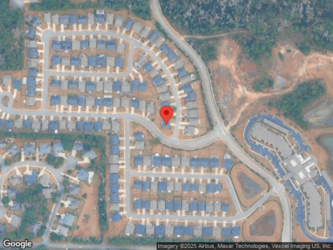 Holly Fern, TALLAHASSEE, FL 32312