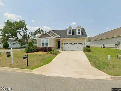 Holly Fern, TALLAHASSEE, FL 32312