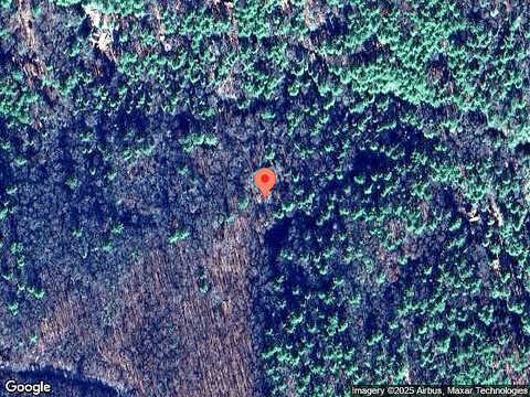 Day Dream, BLAIRSVILLE, GA 30512