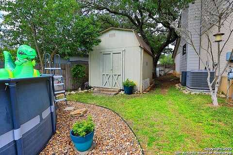 Timber Moss, SAN ANTONIO, TX 78250