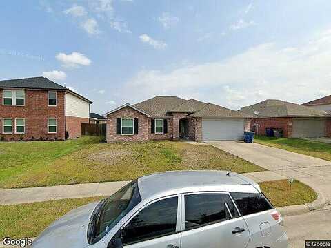 Bissell, WYLIE, TX 75098