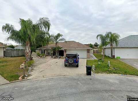 Black Gum, ORANGE PARK, FL 32073
