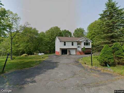 Yellow Birch, LONG POND, PA 18334
