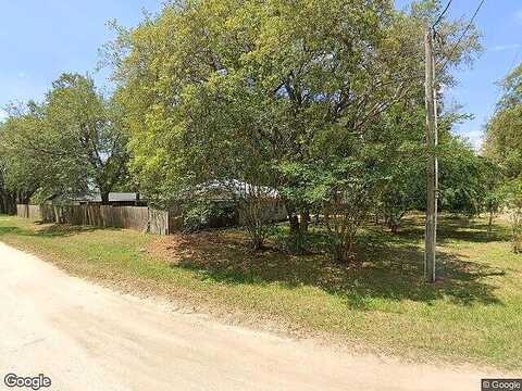 Palm, LADY LAKE, FL 32159