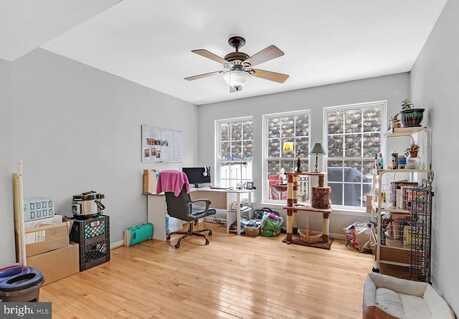 Maple, COATESVILLE, PA 19320