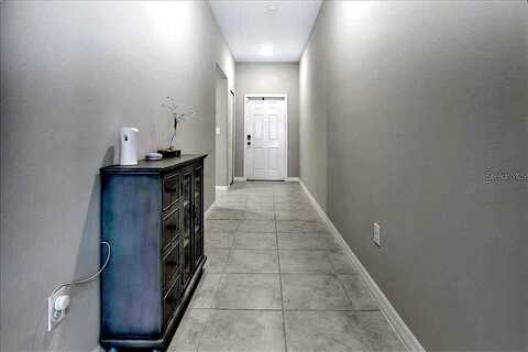 Imperial Purple, WIMAUMA, FL 33598