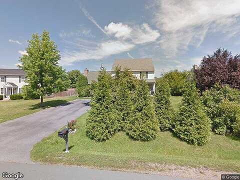 Killdeer, STEPHENS CITY, VA 22655