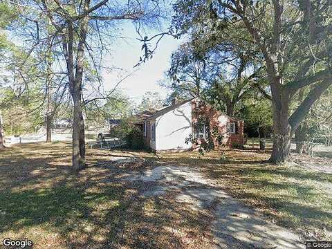Camellia, CAMILLA, GA 31730