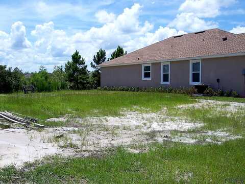 Catriona, DAYTONA BEACH, FL 32124