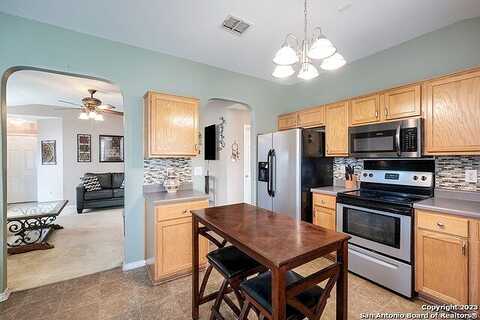 Connemara, SAN ANTONIO, TX 78254