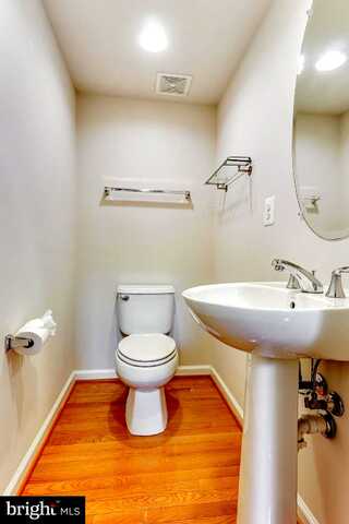 Black Maple, FAIRFAX, VA 22031