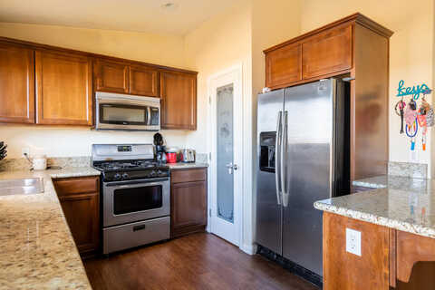 Baileya, TWENTYNINE PALMS, CA 92277