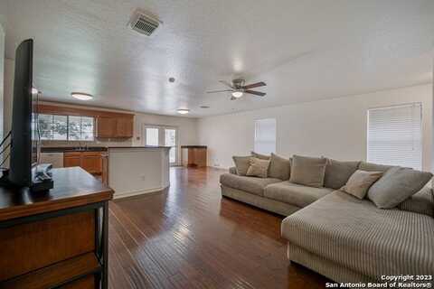 Shadbush, SAN ANTONIO, TX 78245