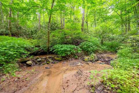 Powder Mill, ELK CREEK, VA 24326